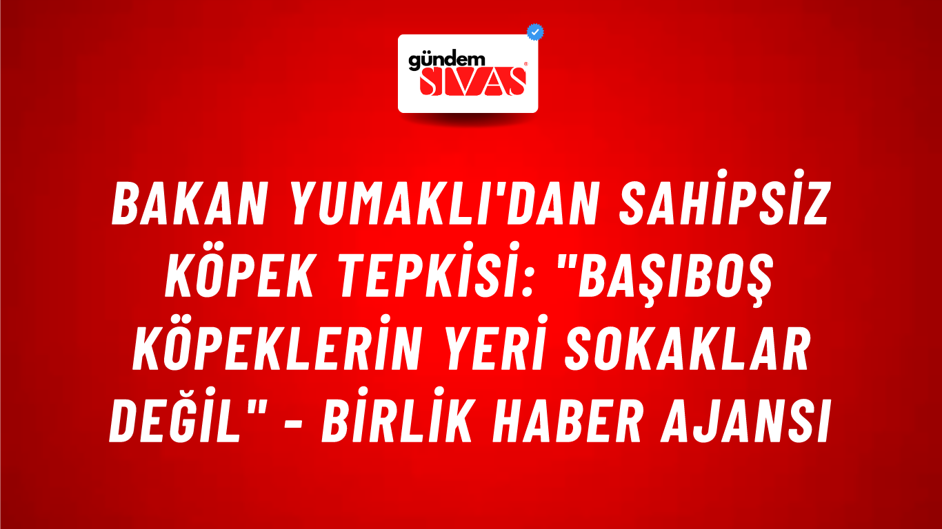 Bakan Yumaklı'dan sahipsiz köpek tepkisi: "Başıboş köpeklerin yeri sokaklar değil" - Birlik Haber Ajansı