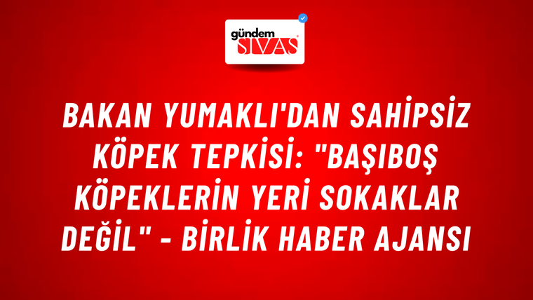 Bakan Yumaklı'dan sahipsiz köpek tepkisi: "Başıboş köpeklerin yeri sokaklar değil" - Birlik Haber Ajansı