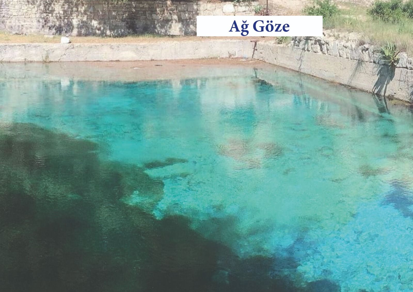 Ağ Göze için Müjde