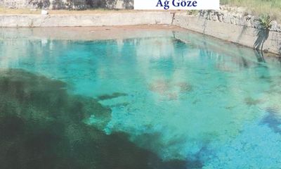 Ağ Göze için Müjde
