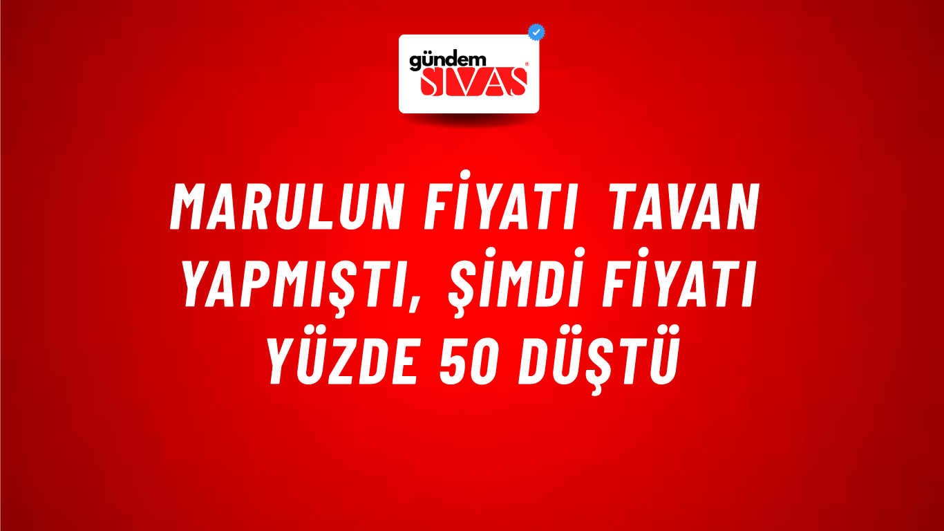 Marulun fiyatı tavan yapmıştı, şimdi fiyatı yüzde 50 düştü