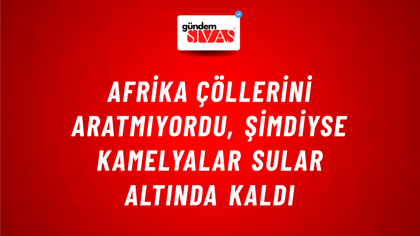 Afrika Çöllerini Aratmıyordu, Şimdiyse Kamelyalar Sular Altında Kaldı