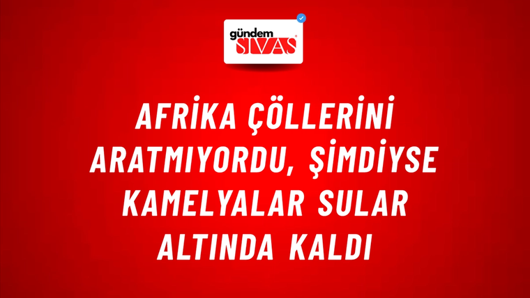 Afrika Çöllerini Aratmıyordu, Şimdiyse Kamelyalar Sular Altında Kaldı