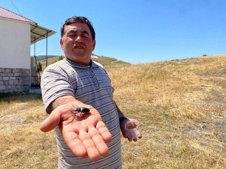 Bir adam, açık elinde siyah bir böcek tutarken kuru otlarla kaplı arazide duruyor.
