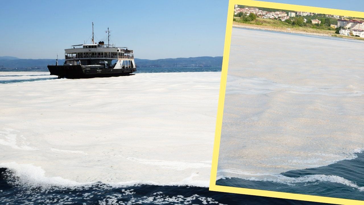Bakanlık'tan Marmara'ya kıyısı olan belediyelere müsilaj uyarısı! - Birlik Haber Ajansı