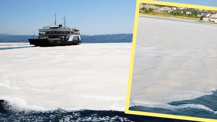 Bakanlık'tan Marmara'ya kıyısı olan belediyelere müsilaj uyarısı! - Birlik Haber Ajansı