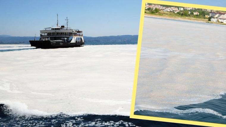 Bakanlık'tan Marmara'ya kıyısı olan belediyelere müsilaj uyarısı! - Birlik Haber Ajansı