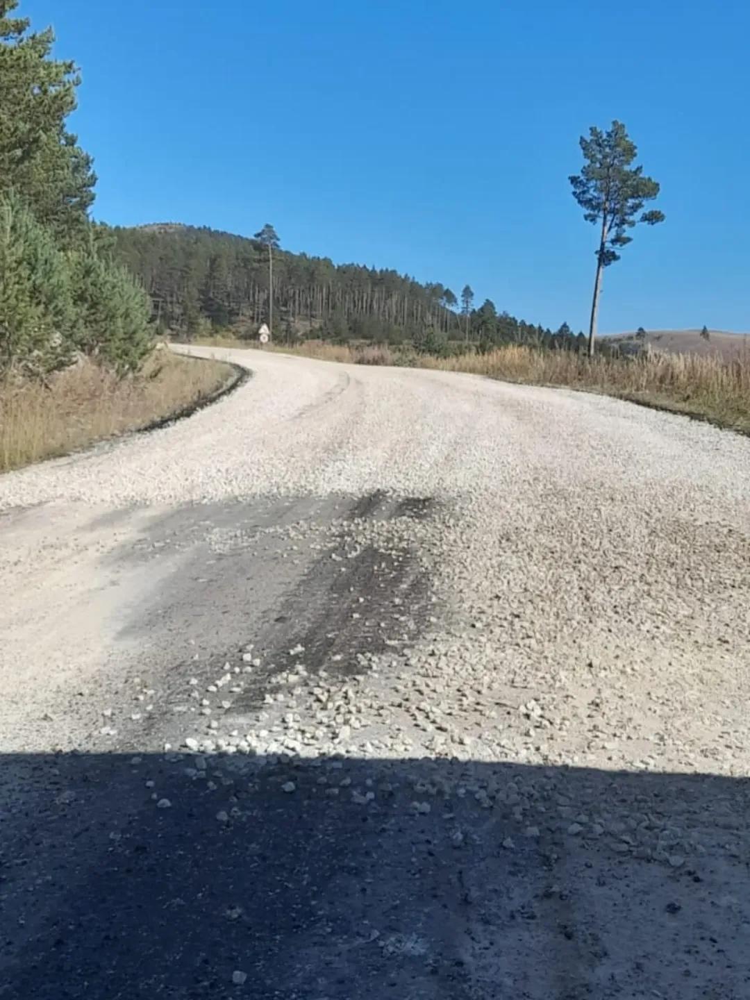 Ormanlık alana doğru kıvrılan, yüzeyi çakıl ve toprakla kaplı geniş bir yol ile yol kenarında direk görülüyor.