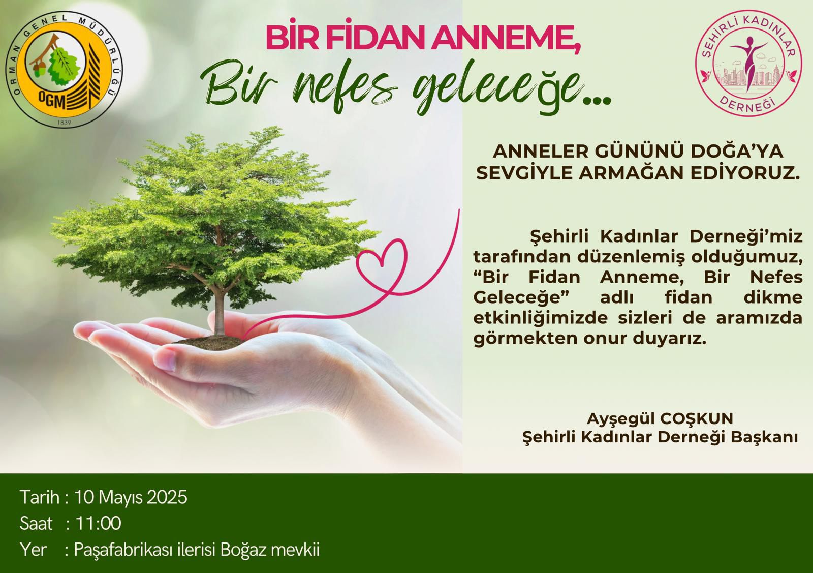 Bir ağaç fidanı, elleriyle tutan bir kişi tarafından gösteriliyor.