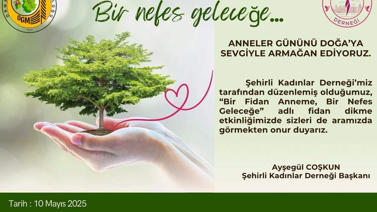 Bir ağaç fidanı, elleriyle tutan bir kişi tarafından gösteriliyor.