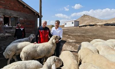 Sivas'ta Kangal Akkaraman Koyunu Islah Projesi ile Verimlilik Artıyor