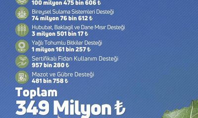 Sivas'ta Çiftçilere 349 Milyon TL Tarımsal Destek Ödemesi Yapıldı