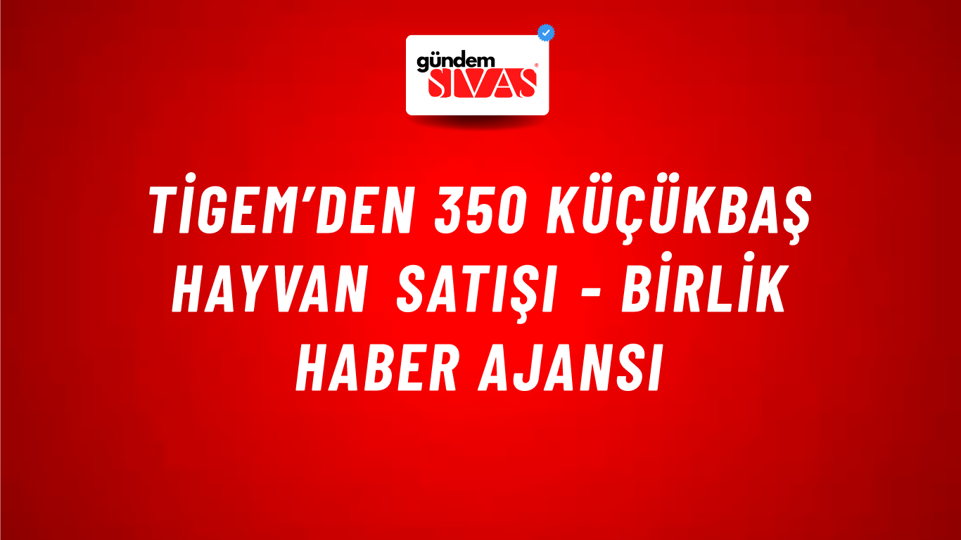 TİGEM’den 350 küçükbaş hayvan satışı - Birlik Haber Ajansı