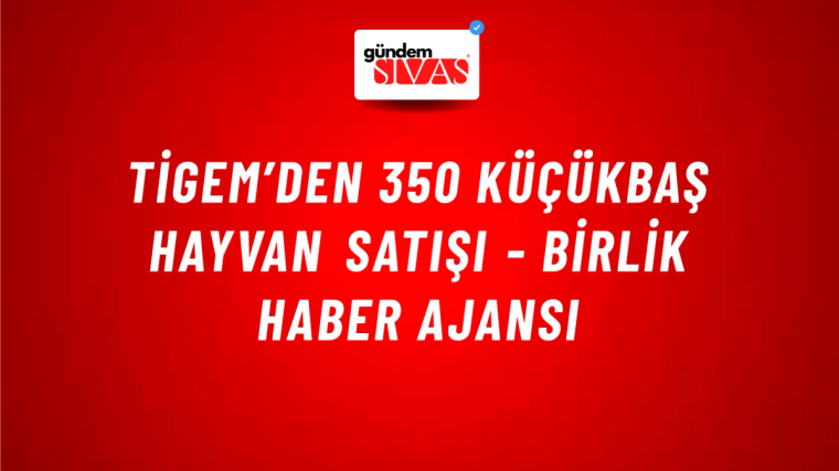 TİGEM’den 350 küçükbaş hayvan satışı - Birlik Haber Ajansı