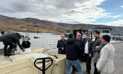 Sivas'ta Alabalık Üretimi Rekor Seviyede: Marsis Alabalık Tesisi Türkiye Ekonomisine Katkı Sağlıyor