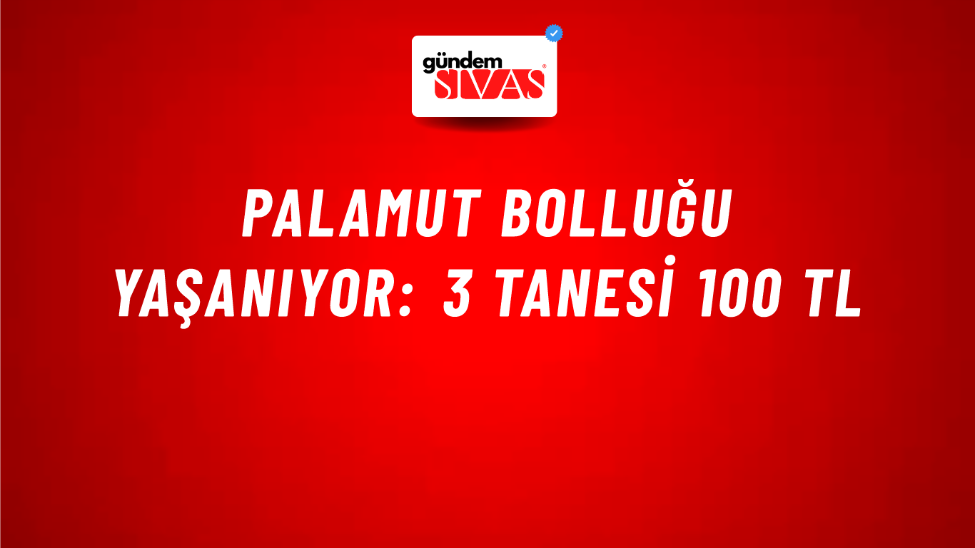 Palamut bolluğu yaşanıyor: 3 tanesi 100 TL