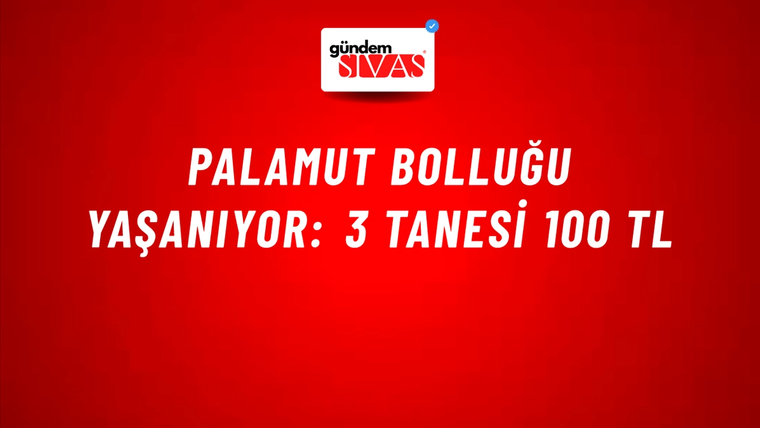 Palamut bolluğu yaşanıyor: 3 tanesi 100 TL