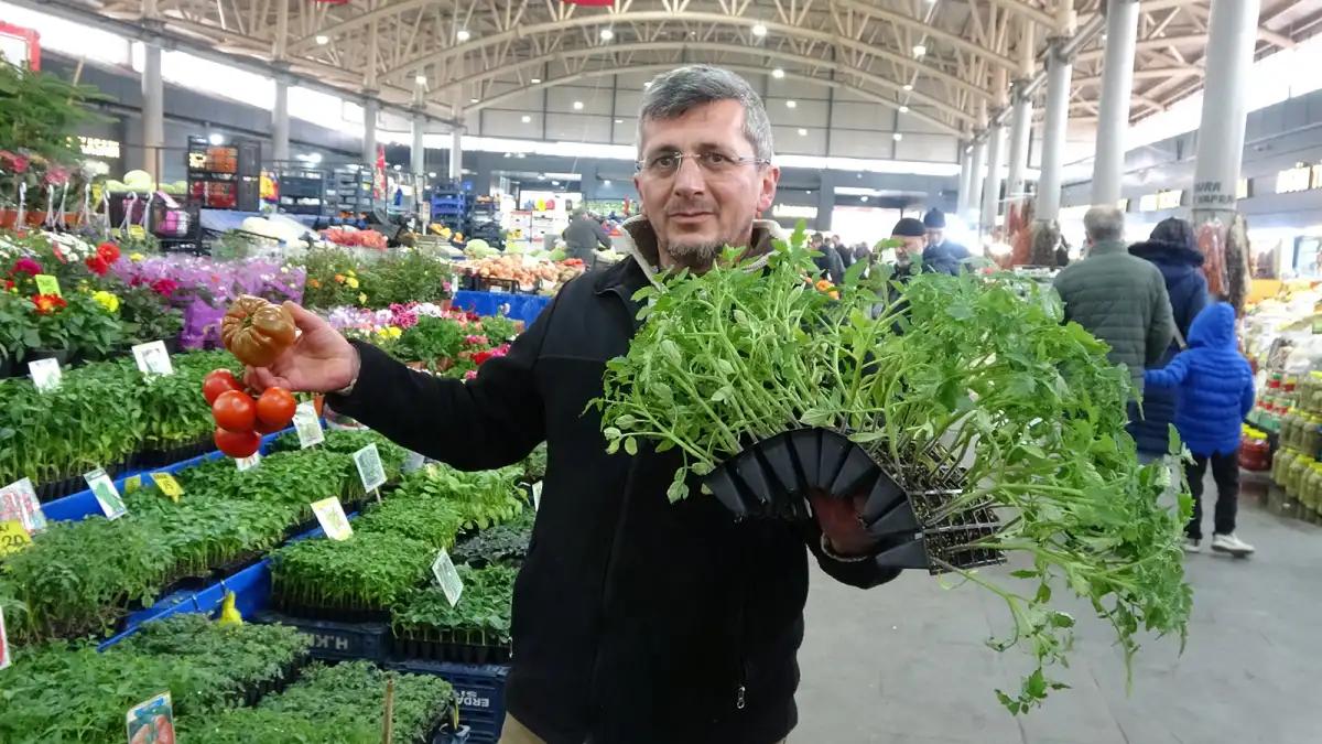 Pandemi ve Deprem Sonrası Fide ve Tohum Talebinde Patlama!