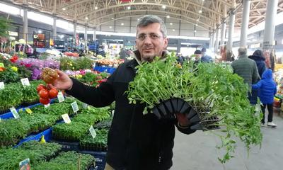 Pandemi ve Deprem Sonrası Fide ve Tohum Talebinde Patlama!