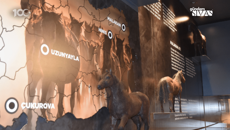 Bir harita üzerinde 'Uzunyayla', 'Malakan', 'Hins' ve 'Cukurova' isimleri yazılı, yanında at figürleri bulunan bir sergi alanı.