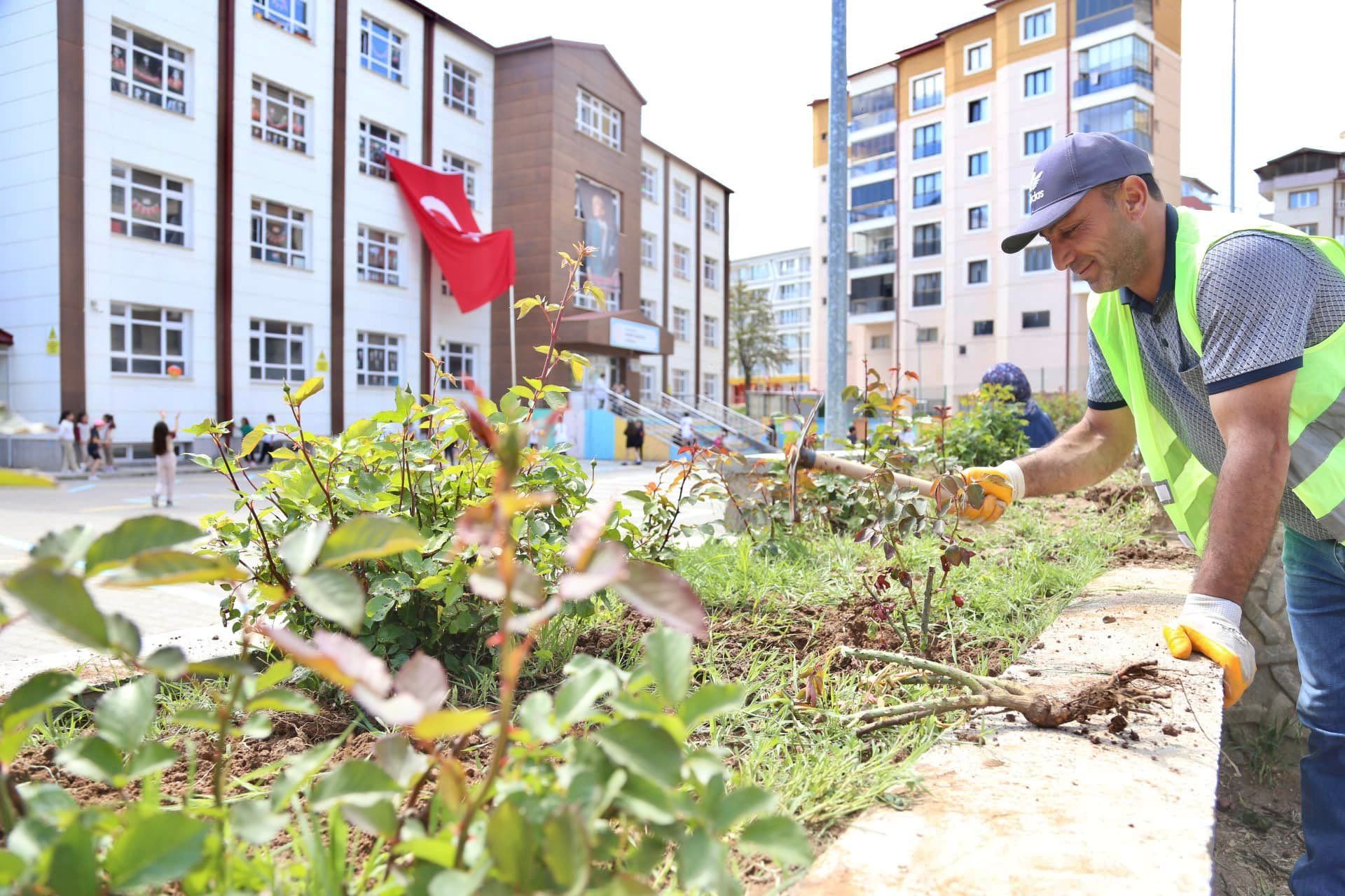 Sivas Çiçek Açıyor: Park ve Bahçelerde Renk Cümbüşü Başladı