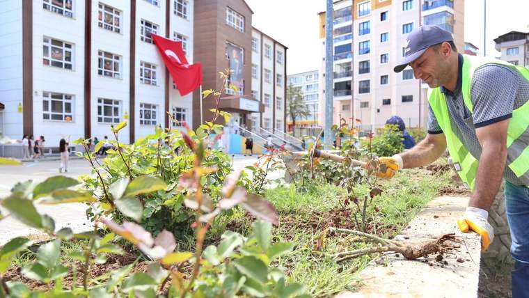 Sivas Çiçek Açıyor: Park ve Bahçelerde Renk Cümbüşü Başladı