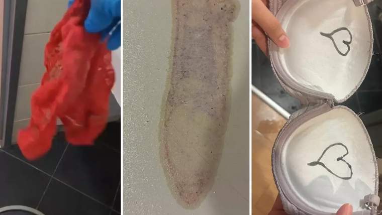 Üç bölümlü kolajda mavi eldivenli el, lekeli kırmızı kumaş, kirli bir ped ve kalp çizimli sütyen gösteriliyor.