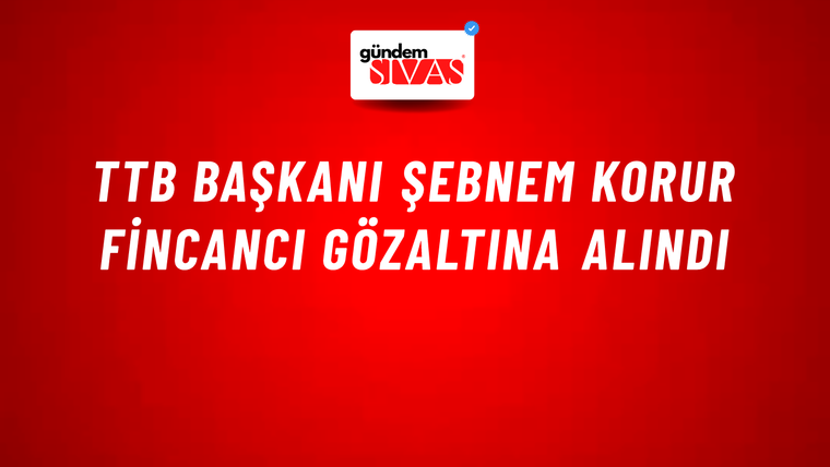 TTB Başkanı Şebnem Korur Fincancı gözaltına alındı