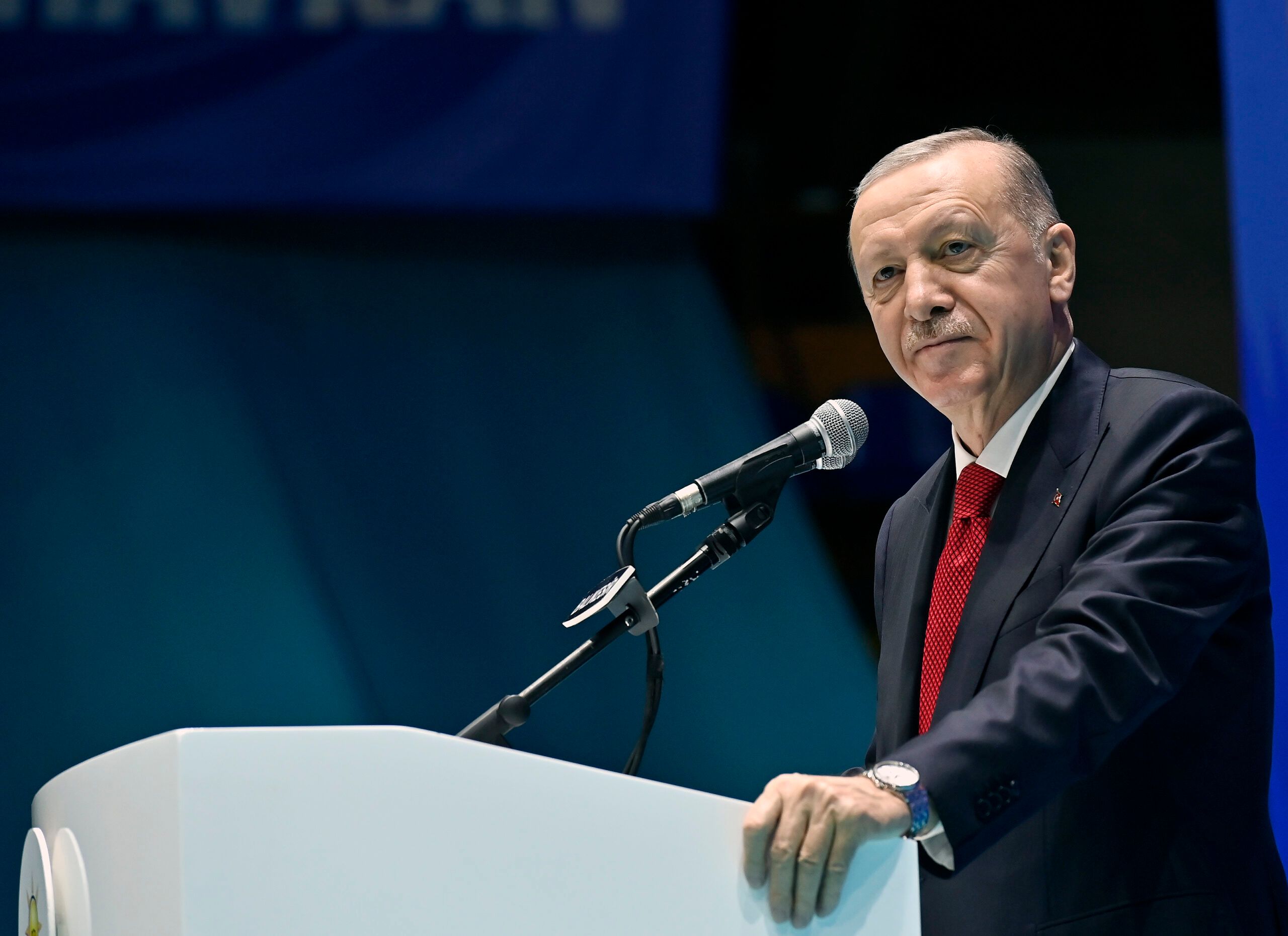 Erdoğan 2024 yılını özetledi - Birlik Haber Ajansı
