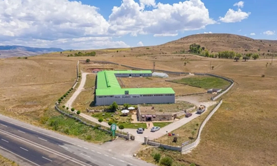 Sivas'ın Ekoturizm Gözdesi Çit Keçi Çiftliği Ziyaretçilerini Çekiyor