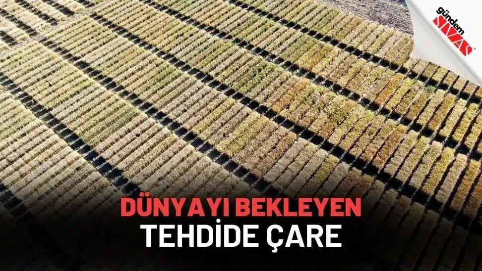 Dünyayı Bekleyen Tehdide Çare