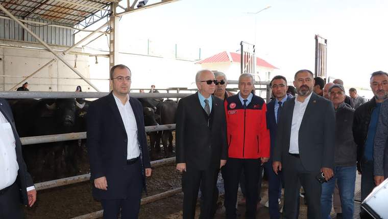 Bir grup insan, manda yetiştiriciliği için getirilen boğaların bulunduğu ahırda duruyor.