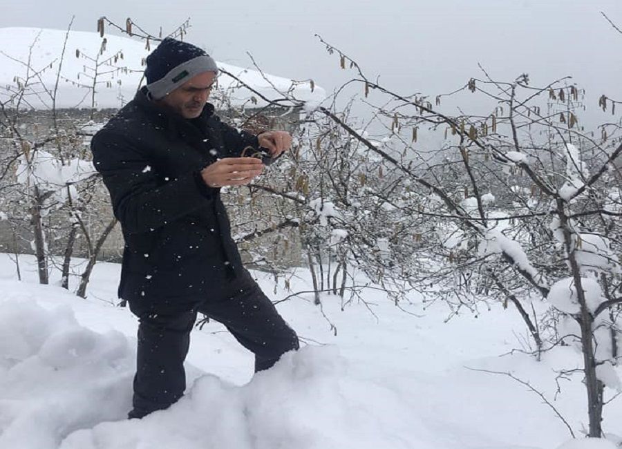 Fındık üreticisine sigorta uyarısı - Birlik Haber Ajansı