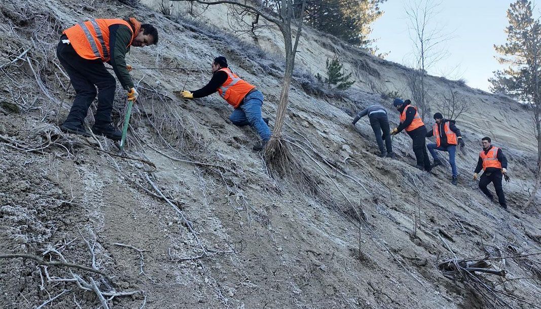 Isparta'da binlerce fidan toprakla buluşturuluyor - Birlik Haber Ajansı
