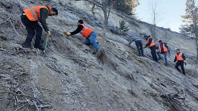 Isparta'da binlerce fidan toprakla buluşturuluyor - Birlik Haber Ajansı