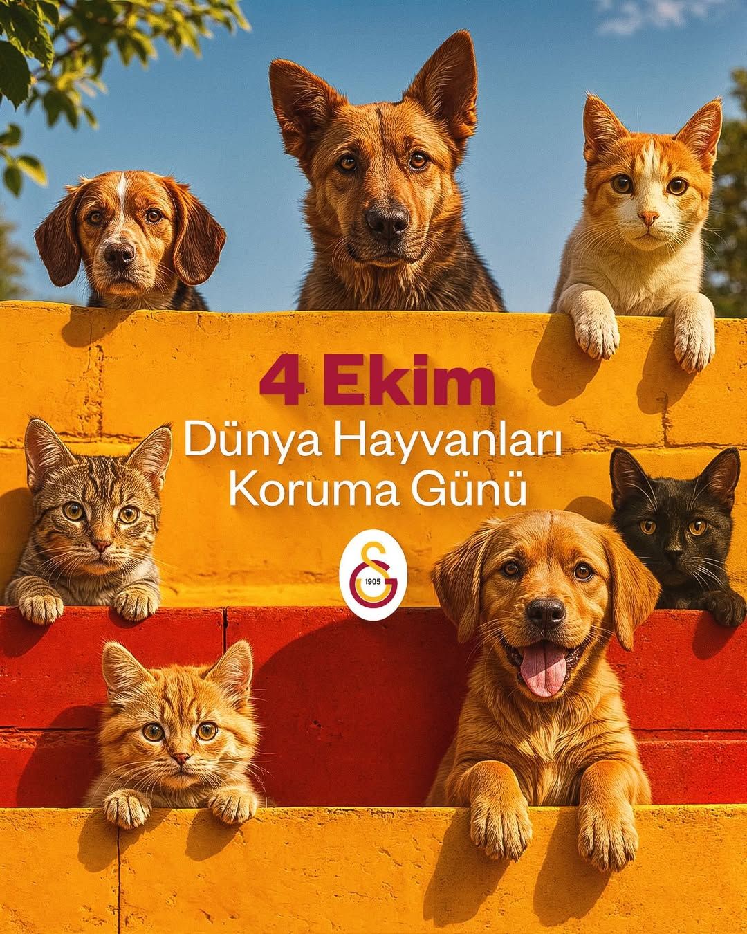 Galatasaray'dan 4 Ekim Dünya Hayvanları Koruma Günü'nde Anlamlı Mesaj