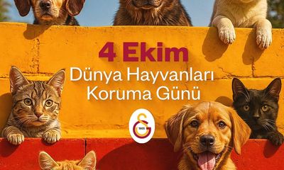 Galatasaray'dan 4 Ekim Dünya Hayvanları Koruma Günü'nde Anlamlı Mesaj