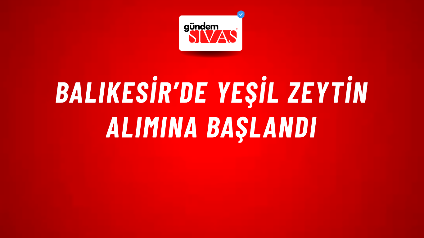 Balıkesir’de yeşil zeytin alımına başlandı