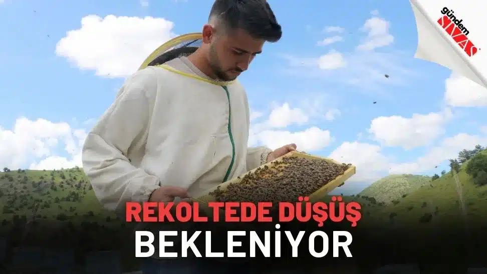 Rekoltede Düşüş Bekleniyor