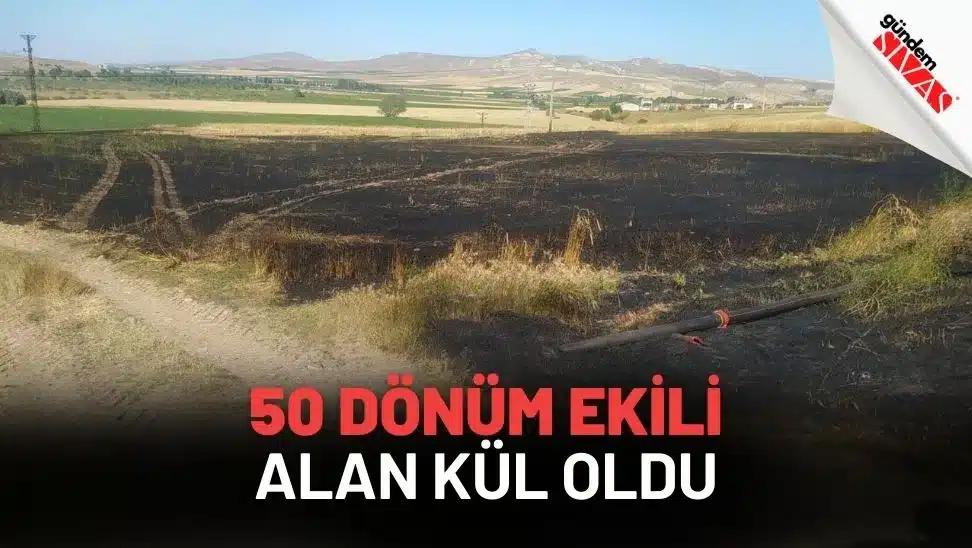 50 Dönüm Ekili Alan Kül Oldu