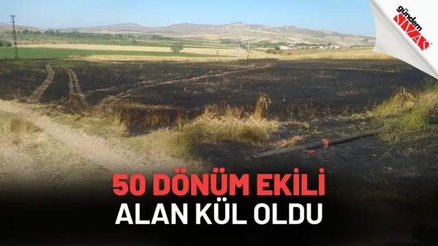 50 Dönüm Ekili Alan Kül Oldu