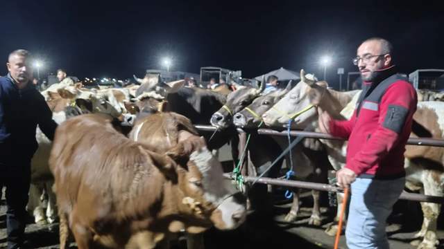 Bayram Hareketliliği Zirvede: Kurbanlık Fiyatları ve Gece Pazarlıkları Dikkat Çekiyor