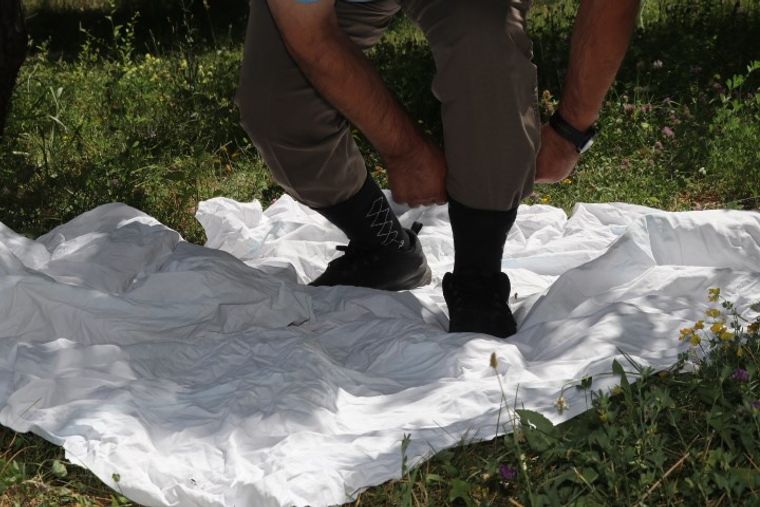 Kene Popülasyonu Artıyor! Titreşimle Kene Testi Hayat Kurtarabilir