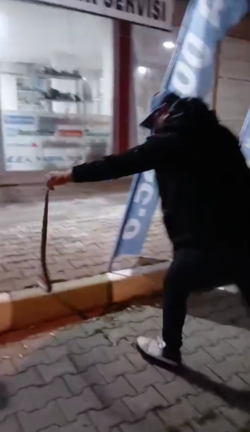 Sivas’ta İş Yeri Sahibi, Yakaladığı 1.5 Metrelik Yılanı Misafir Ettikten Sonra Doğaya Salıverdi