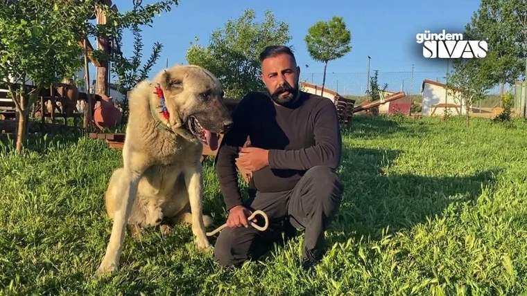 Bir adam, yanında oturan büyük bir köpekle birlikte yeşil bir alanda oturuyor.