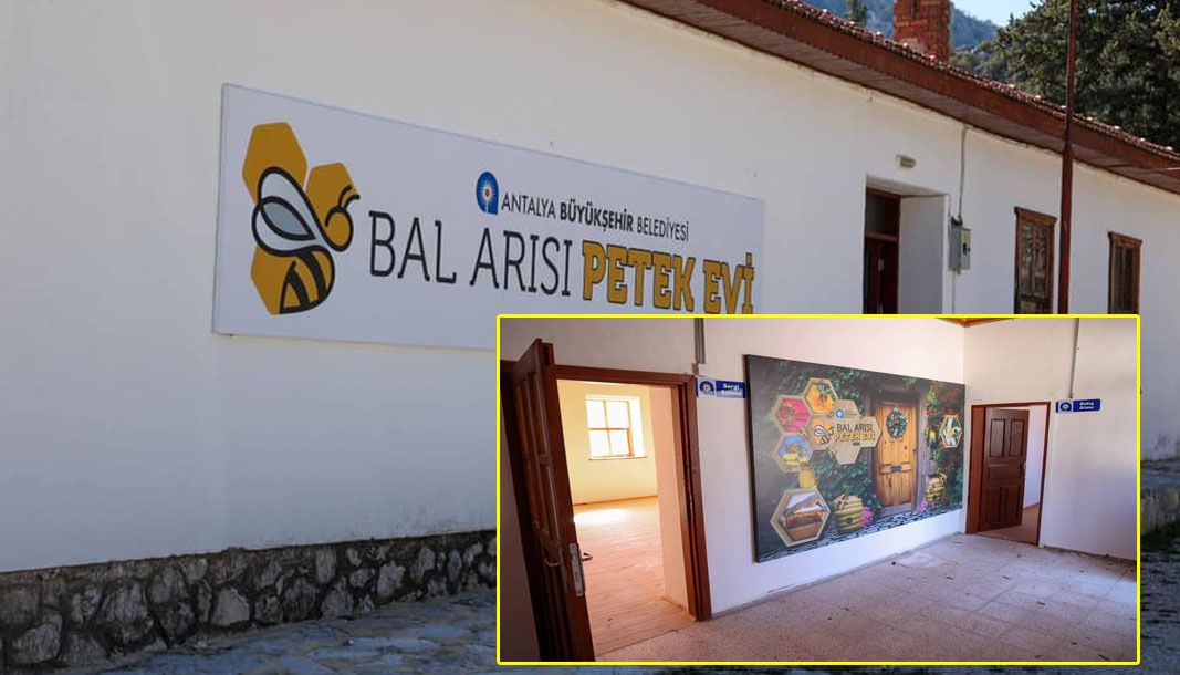 İbradı’n yeni ekonomik ve kültürel merkezi: Bal Arısı Petek Evi - Birlik Haber Ajansı
