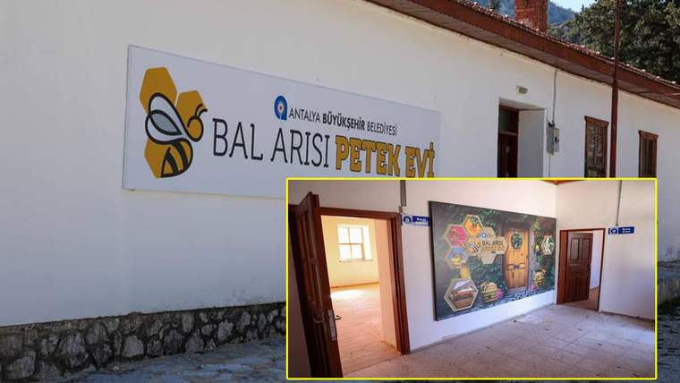 Bir yapının duvarında “Bal Arısı Petek Evi” tabelası, içeride ise arı temalı pano ve açık kapılar görülüyor.