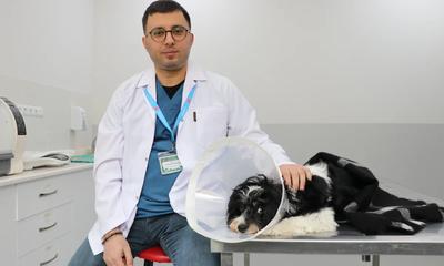 Sivas’ta Şaşırtan Operasyon: Tarçın’ın İdrar Kesesinden 140 Taş Çıkarıldı