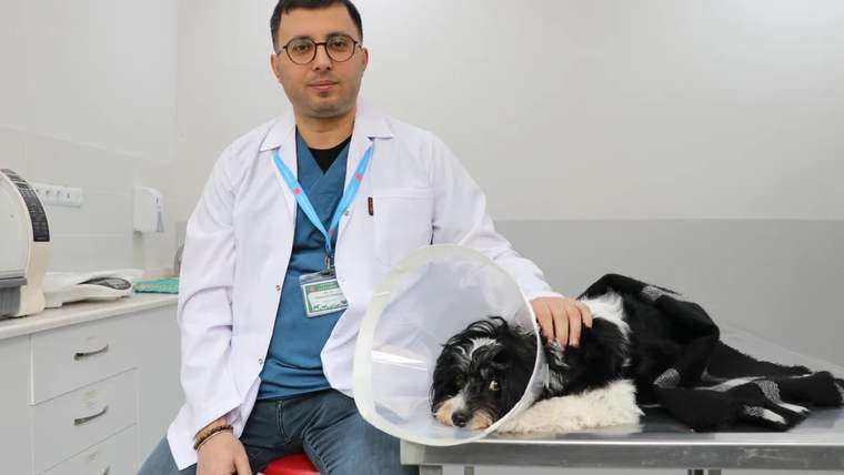 Beyaz önlük giymiş bir veteriner, masada oturan bir köpeğin başını okşuyor.