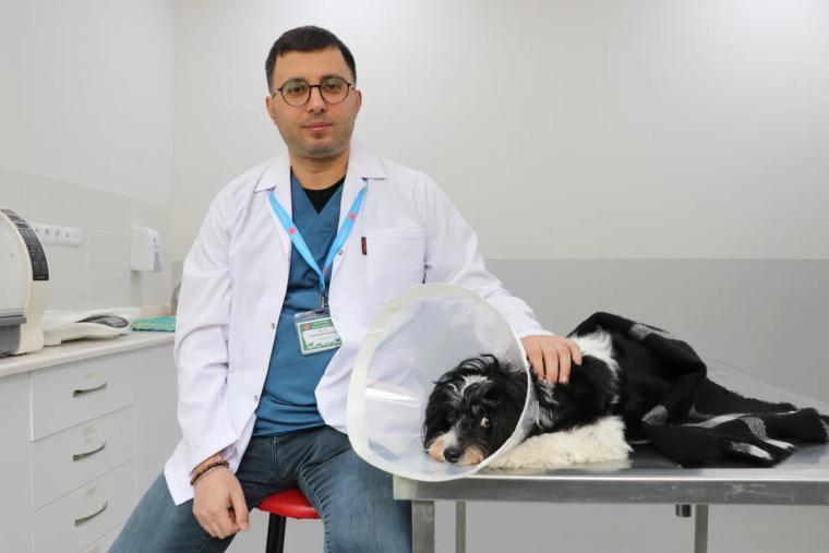 Sivas’ta Şaşırtan Operasyon: Tarçın’ın İdrar Kesesinden 140 Taş Çıkarıldı